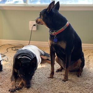 Meet your Posher, Beth